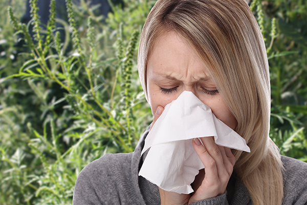 spring_allergies